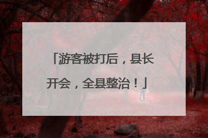 游客被打后，县长开会，全县整治！