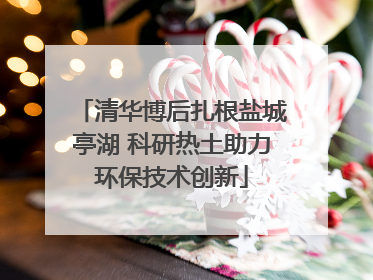 清华博后扎根盐城亭湖 科研热土助力环保技术创新