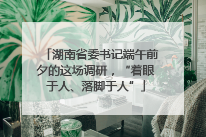 湖南省委书记端午前夕的这场调研，“着眼于人、落脚于人”