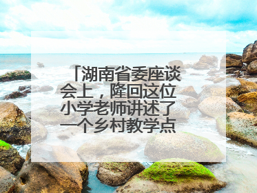 湖南省委座谈会上，隆回这位小学老师讲述了一个乡村教学点的温暖故事