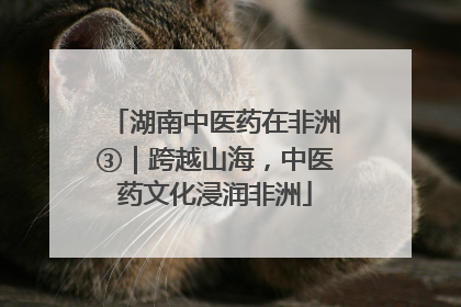湖南中医药在非洲③｜跨越山海，中医药文化浸润非洲