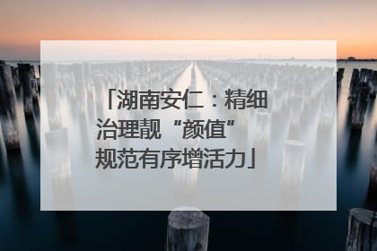 湖南安仁：精细治理靓“颜值” 规范有序增活力