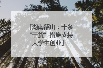 湖南韶山：十条“干货”措施支持大学生创业