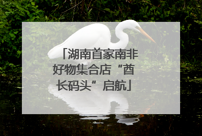 湖南首家南非好物集合店“酋长码头”启航
