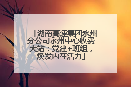 湖南高速集团永州分公司永州中心收费大站：党建+班组，焕发内在活力