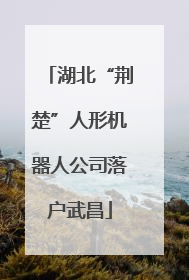 湖北“荆楚”人形机器人公司落户武昌