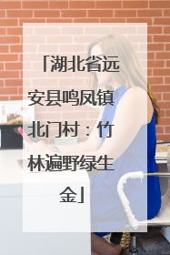 湖北省远安县鸣凤镇北门村：竹林遍野绿生金