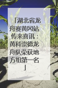 湖北省龙舟赛黄冈站传来喜讯：黄科崇德龙舟队荣获地方组第一名