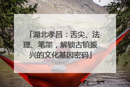 湖北孝昌：舌尖、法理、笔墨，解锁古镇振兴的文化基因密码