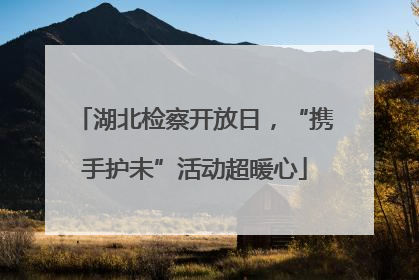 湖北检察开放日，“携手护未”活动超暖心