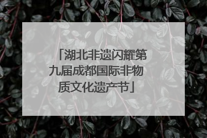 湖北非遗闪耀第九届成都国际非物质文化遗产节