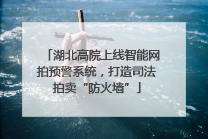 湖北高院上线智能网拍预警系统，打造司法拍卖“防火墙”