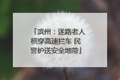 滨州：迷路老人横穿高速拦车 民警护送安全地带