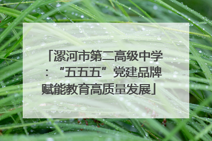 漯河市第二高级中学：“五五五”党建品牌赋能教育高质量发展