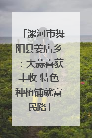 漯河市舞阳县姜店乡：大蒜喜获丰收 特色种植铺就富民路