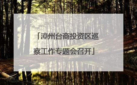 漳州台商投资区巡察工作专题会召开