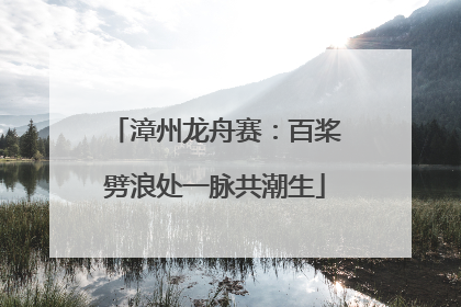 漳州龙舟赛：百桨劈浪处一脉共潮生