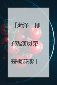 菏泽一柳子戏演员荣获梅花奖
