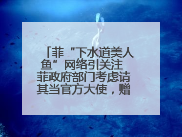 菲“下水道美人鱼”网络引关注 菲政府部门考虑请其当官方大使，赠现金开店