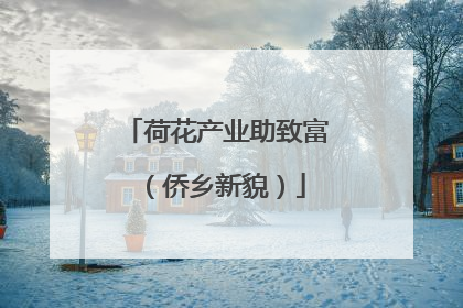 荷花产业助致富（侨乡新貌）