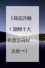 荷花开啦！郑州十大免费赏荷好去处→