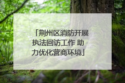 荆州区消防开展执法回访工作 助力优化营商环境