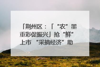 荆州区：「“农”墨重彩促振兴」抢“鲜”上市 “采摘经济”助农“甜蜜增收”