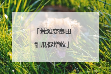 荒滩变良田 甜瓜促增收