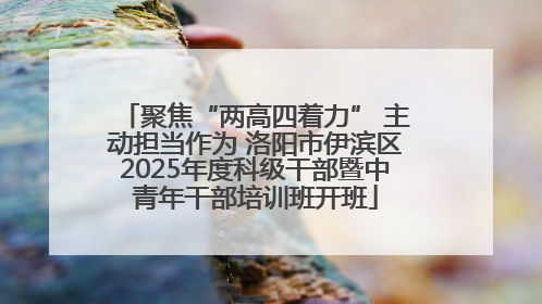 聚焦“两高四着力” 主动担当作为 洛阳市伊滨区2025年度科级干部暨中青年干部培训班开班