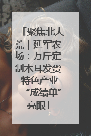 聚焦北大荒｜延军农场：万斤定制木耳发货 特色产业“成绩单”亮眼