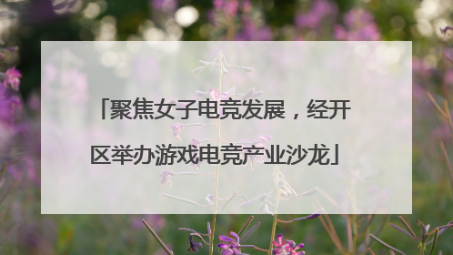 聚焦女子电竞发展，经开区举办游戏电竞产业沙龙