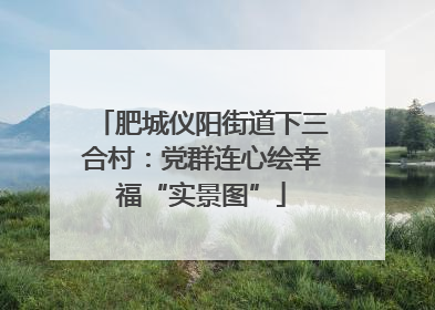 肥城仪阳街道下三合村：党群连心绘幸福“实景图”