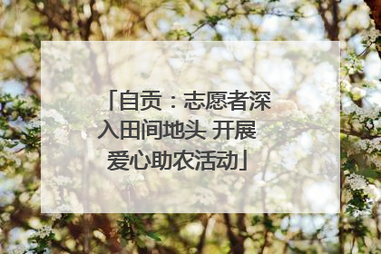 自贡：志愿者深入田间地头 开展爱心助农活动