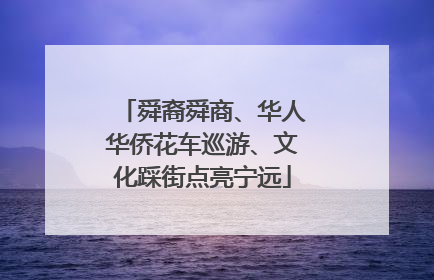 舜裔舜商、华人华侨花车巡游、文化踩街点亮宁远