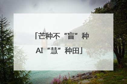 芒种不“盲”种 AI“慧”种田