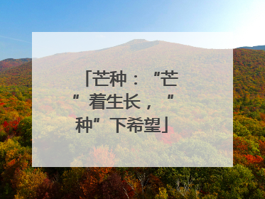 芒种：“芒”着生长，“种”下希望