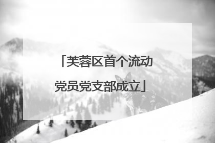 芙蓉区首个流动党员党支部成立
