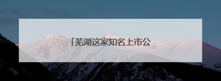 芜湖这家知名上市公司，中国行业第一！