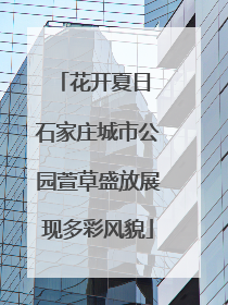 花开夏日 石家庄城市公园萱草盛放展现多彩风貌
