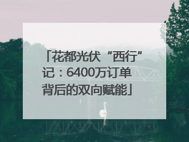 花都光伏“西行”记：6400万订单背后的双向赋能