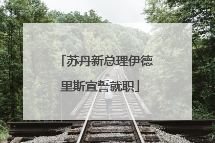 苏丹新总理伊德里斯宣誓就职