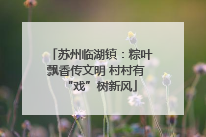 苏州临湖镇：粽叶飘香传文明 村村有“戏”树新风