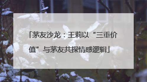 茅友沙龙：王莉以“三重价值”与茅友共探情感逻辑