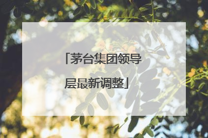 茅台集团领导层最新调整