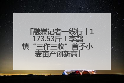 融媒记者一线行丨1173.53斤！李鹊镇“三作三收”首季小麦亩产创新高