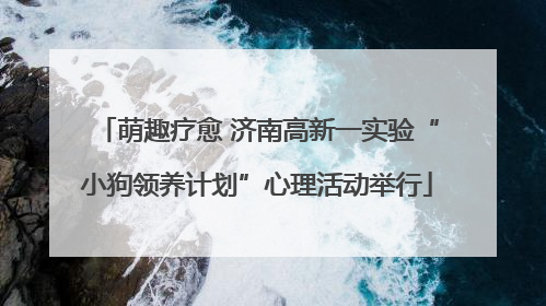 萌趣疗愈 济南高新一实验“小狗领养计划”心理活动举行