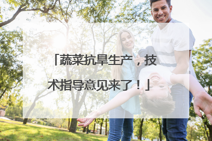 蔬菜抗旱生产，技术指导意见来了！