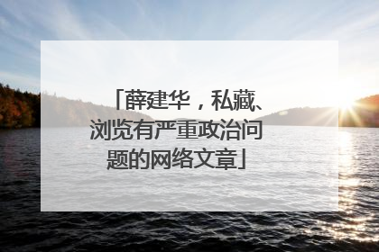 薛建华，私藏、浏览有严重政治问题的网络文章
