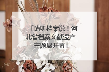 请听档案说！河北省档案文献遗产主题展开幕