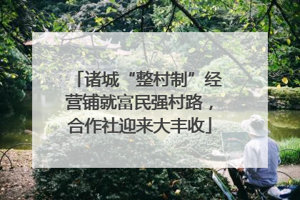 诸城“整村制”经营铺就富民强村路，合作社迎来大丰收